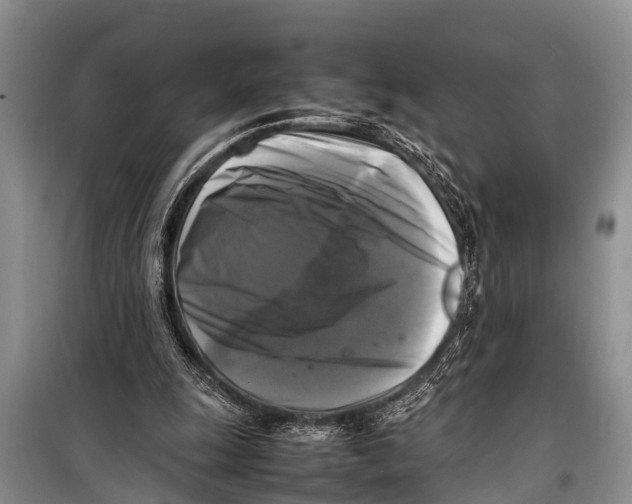 X0000098190247200805151212