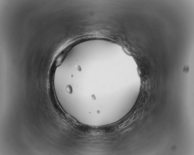X0000098190248200805151212