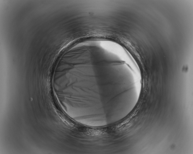 X0000098190249200805151212