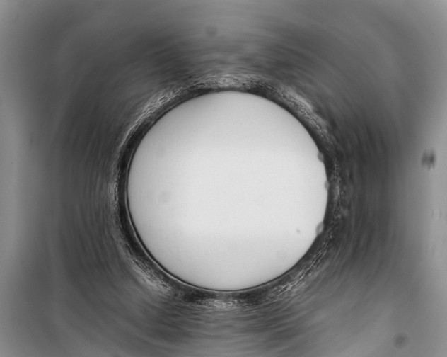 X0000098190250200805151212