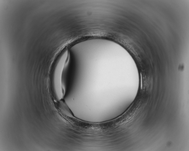 X0000098190252200805151212