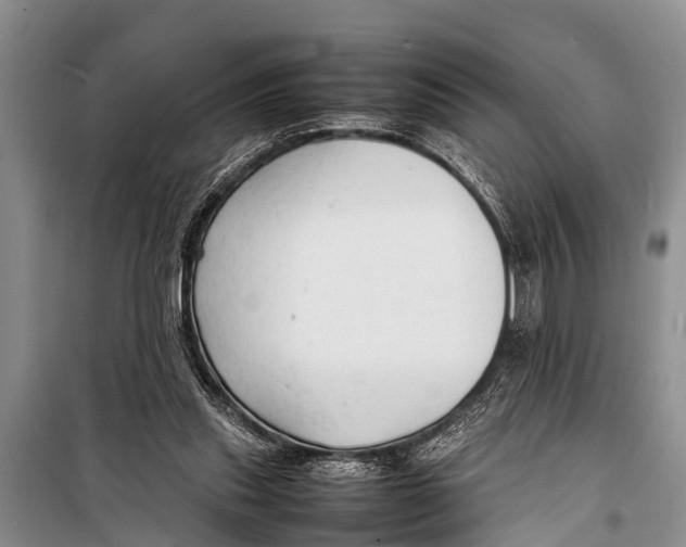X0000098190253200805151212