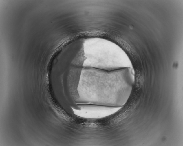 X0000098190254200805151212
