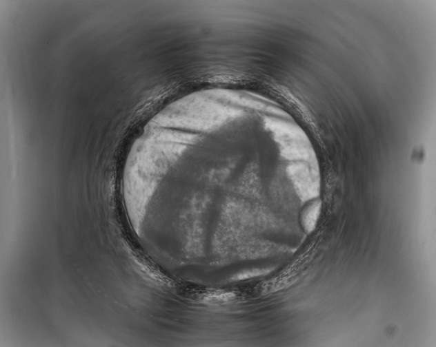 X0000098190257200805151212