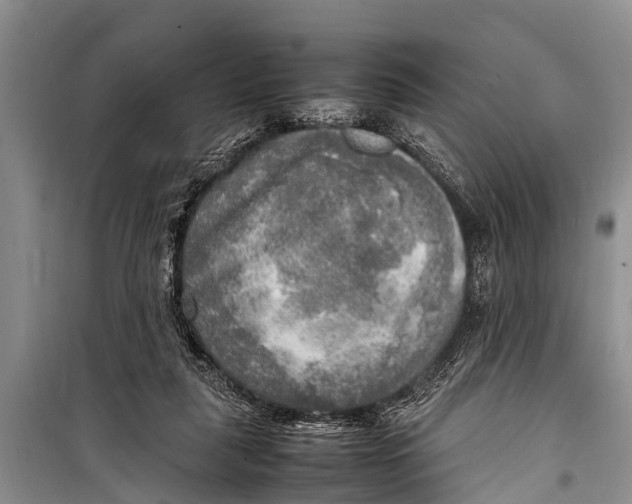 X0000098190259200805151212