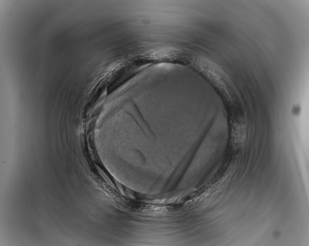 X0000098190260200805151212