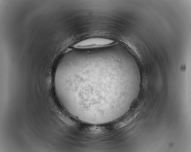 X0000098190261200805151212