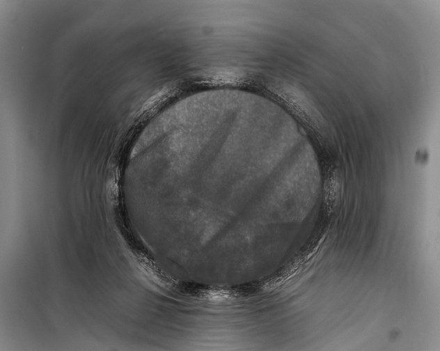 X0000098190264200805151212