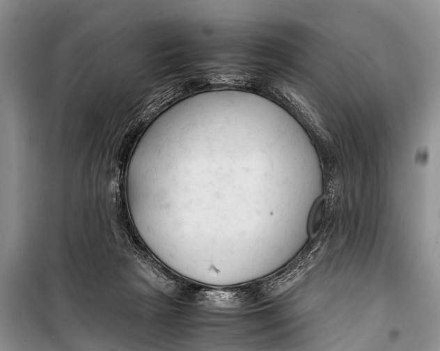 X0000098190265200805151212