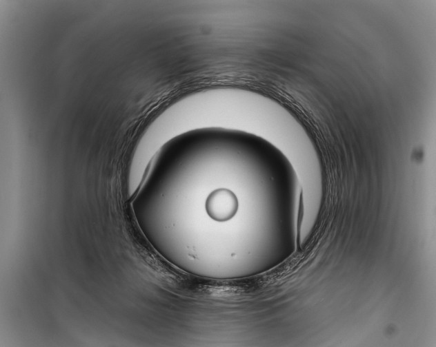 X0000098190268200805151212