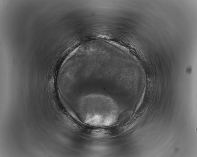 X0000098190269200805151212