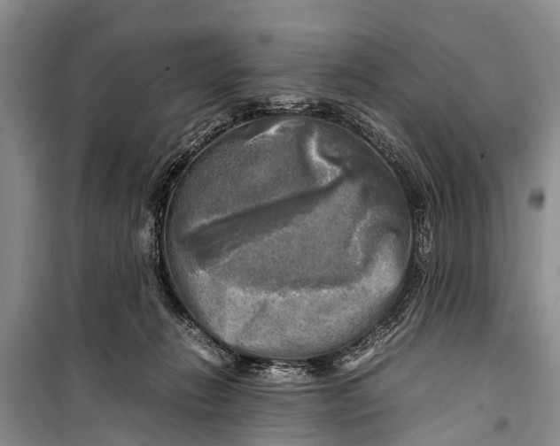 X0000098190270200805151212