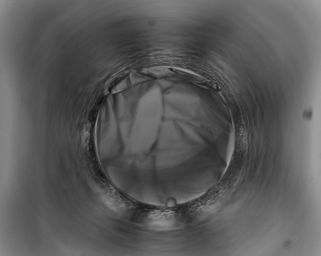 X0000098190271200805151212