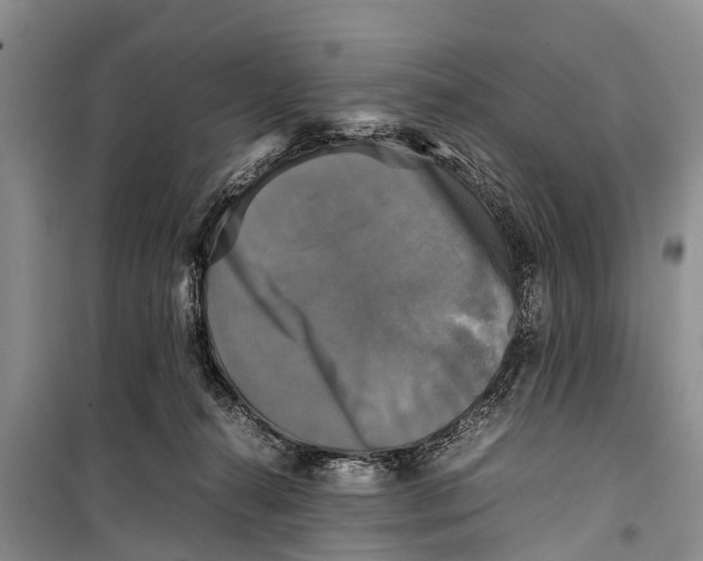 X0000098190272200805151212