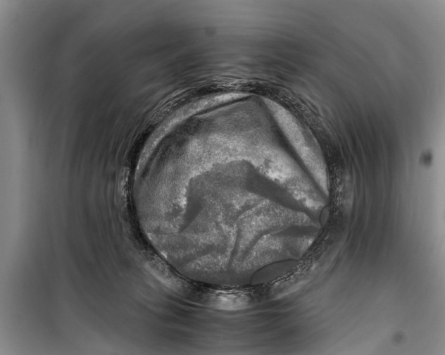 X0000098190275200805151212