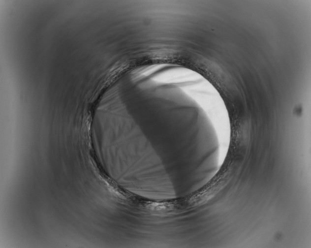 X0000098190277200805151212