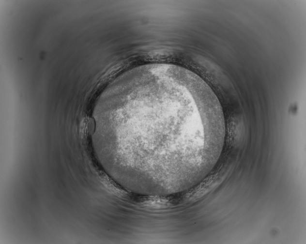 X0000098190278200805151212