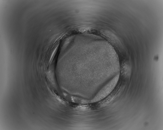 X0000098190280200805151212