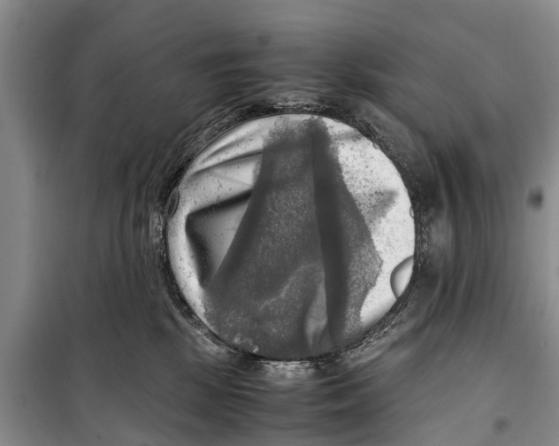 X0000098190281200805151212