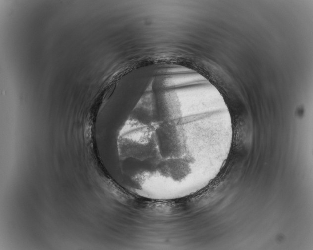 X0000098190282200805151212