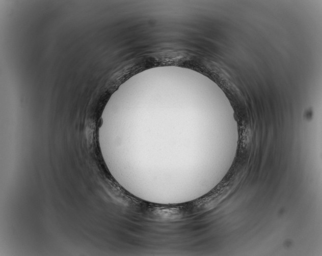 X0000098190283200805151212