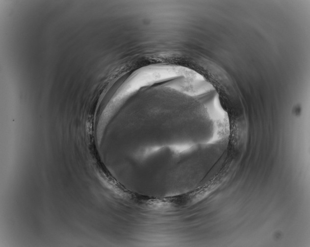 X0000098190284200805151212