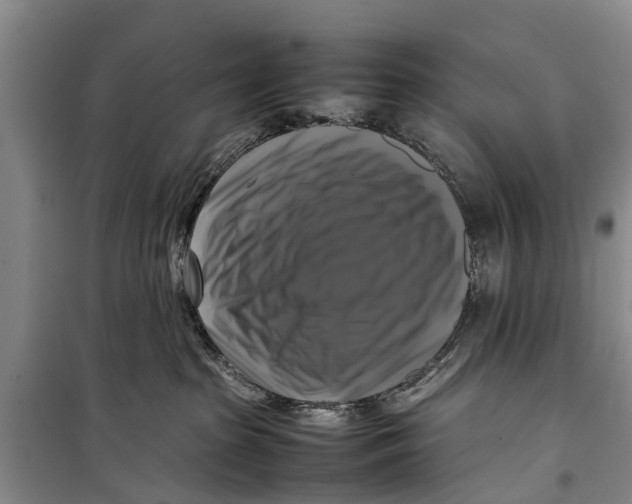 X0000098190285200805151212