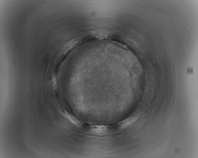 X0000098190288200805151212