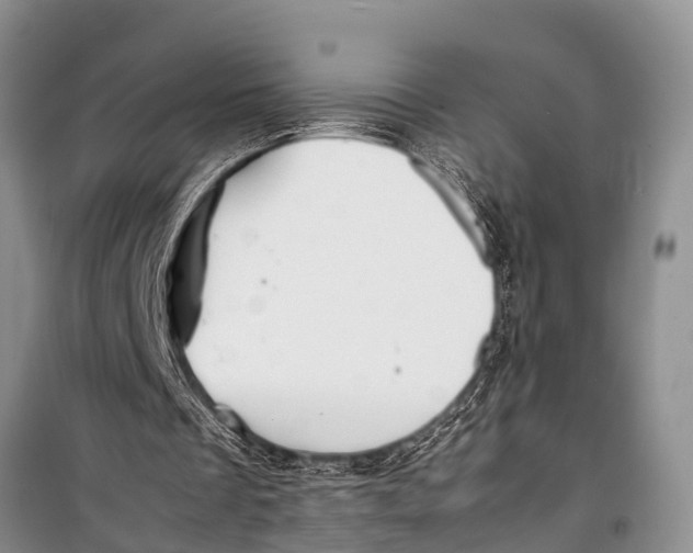 X0000098190289200805151212