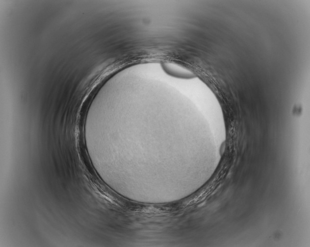 X0000098190290200805151211