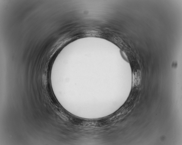 X0000098190291200805151211