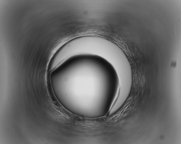 X0000098190292200805151211