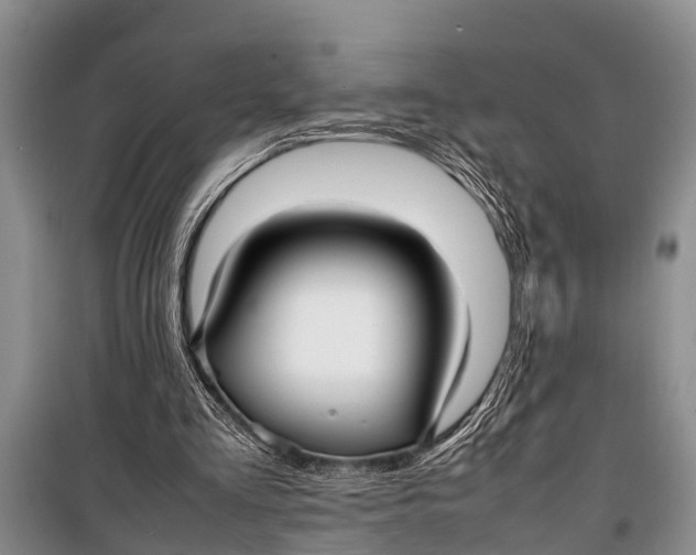 X0000098190293200805151211