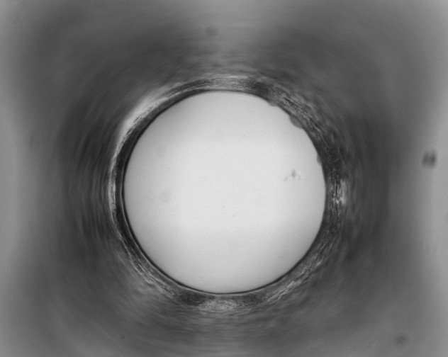 X0000098190294200805151211