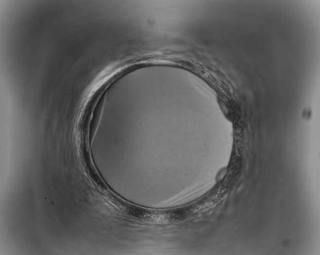 X0000098190295200805151211