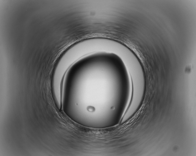 X0000098190297200805151211