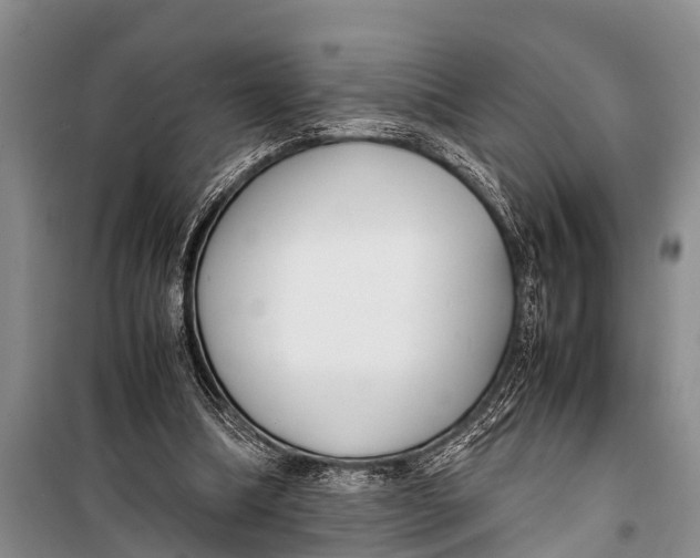 X0000098190298200805151211