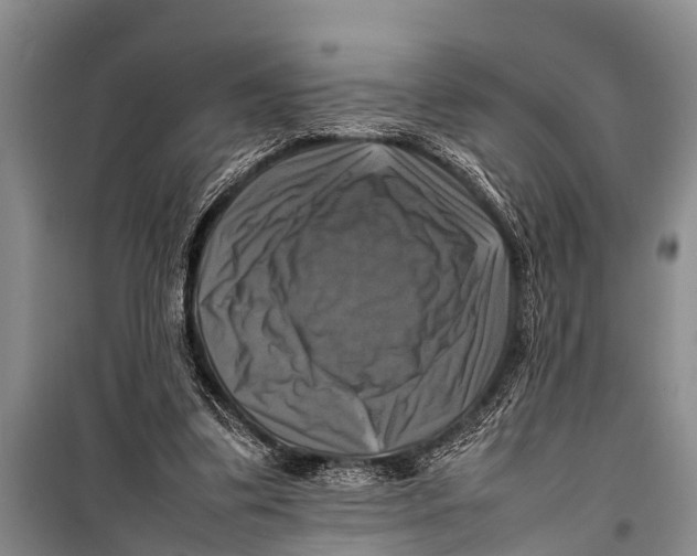 X0000098190299200805151211