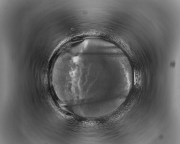 X0000098190300200805151211