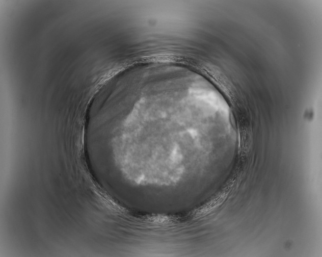 X0000098190301200805151211