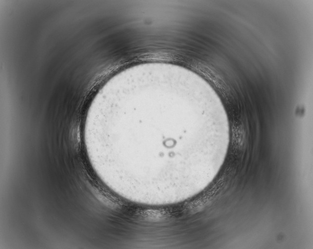 X0000098190302200805151211
