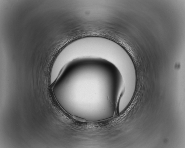 X0000098190305200805151211