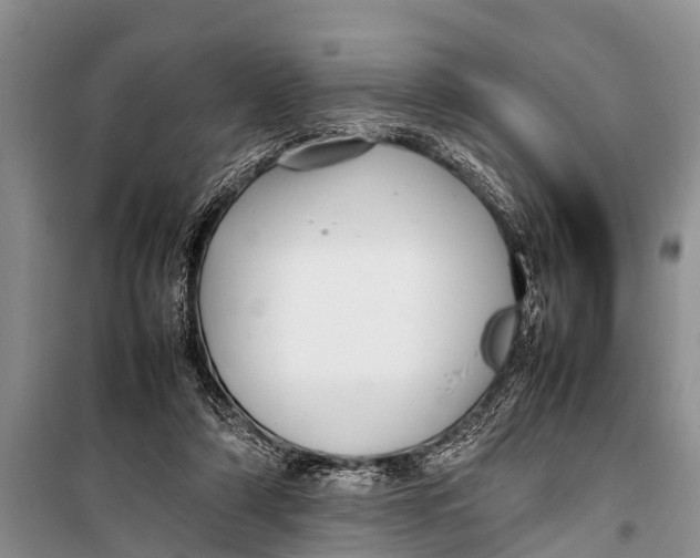 X0000098190306200805151211