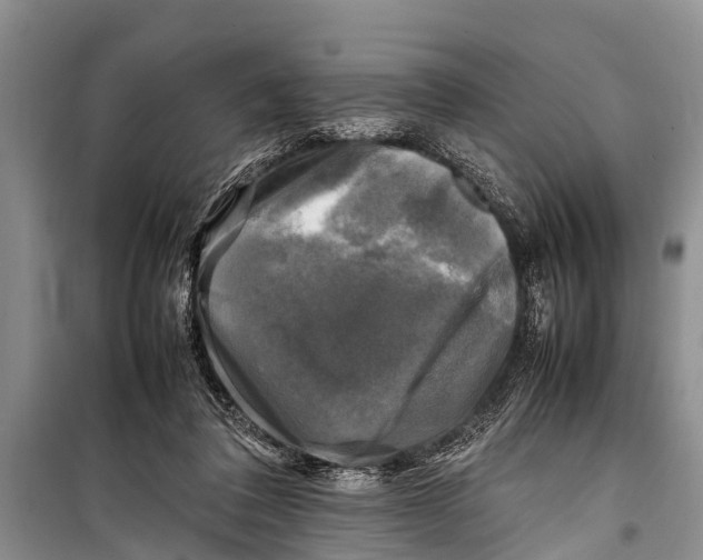 X0000098190308200805151211
