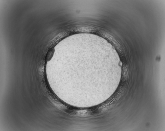 X0000098190309200805151211
