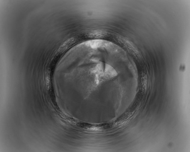 X0000098190312200805151211