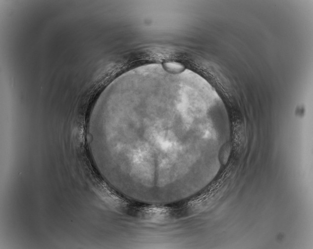 X0000098190313200805151211