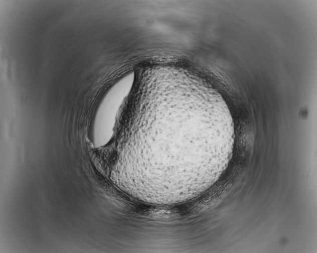 X0000098190315200805151211