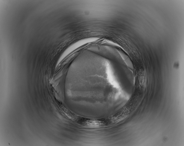 X0000098190316200805151211