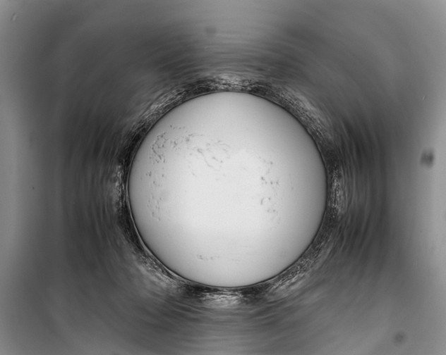 X0000098190318200805151211